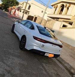BYD QIN L DM-i